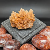 Spiky Red Dogtooth Calcite~CRSRDC05