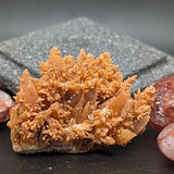 Spiky Red Dogtooth Calcite~CRSRDC06