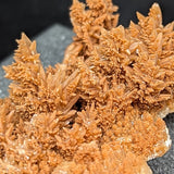 Spiky Red Dogtooth Calcite~CRSRDC09