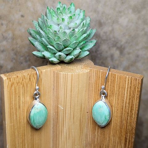 Variscite Earrings~JSSVARER