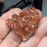 Red Hematoid Quartz Cluster~CRRHQM11
