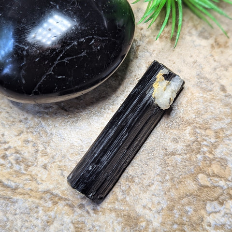 Black Tourmaline HG Crystal~CRHGBT33