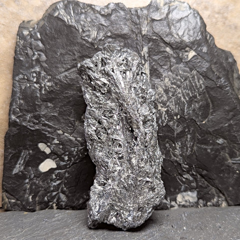 Stibnite Cluster~CRSTIB11