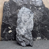 Stibnite Cluster~CRSTIB11