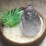 Lodolite Quartz Faceted Standing Gem ~CRLQFSG2