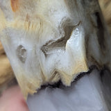 Fluorite, Scolecite & Pyrite Generator (RARE)~CRFSPG05