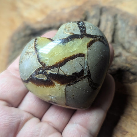 Septarian Nodule Heart~CRSNHRT1