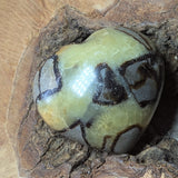 Septarian Nodule Heart~CRSNHRT1