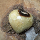 Septarian Nodule Heart~CRSNHRT2