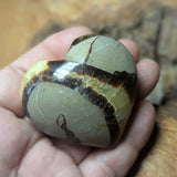 Septarian Nodule Heart~CRSNHRT3