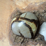 Septarian Nodule Heart~CRSNHRT3