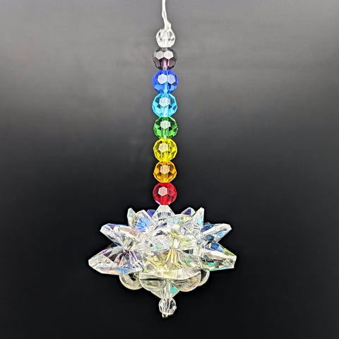 Suncatcher #2 Chakra Shine~SUNCATCS