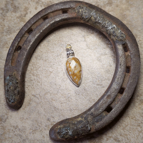 Graveyard Point Plume Agate Pendant~JSSGPPA3