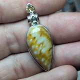 Graveyard Point Plume Agate Pendant~JSSGPPA3