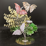 Ocean Jasper Butterflies Display~CROJBFL2