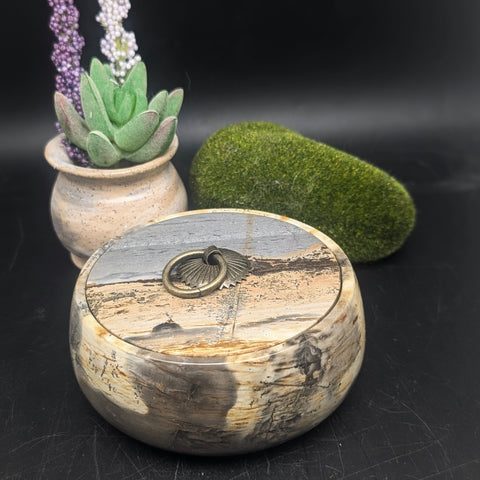 Dendritic Jasper Bowl~CRDJBWL2