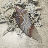 Amethyst Lace Agate Feather~CRALAF02