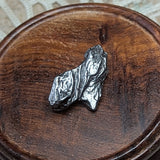 Campo Del Cielo Meteorite~CRCDCM02