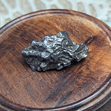 Campo Del Cielo Meteorite~CRCDCM07