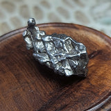 Campo Del Cielo Meteorite~CRCDCM07