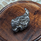 Campo Del Cielo Meteorite~CRCDCM07