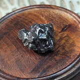 Campo Del Cielo Meteorite~CRCDCM08