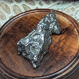 Campo Del Cielo Meteorite~CRCDCM09