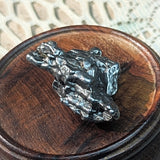 Campo Del Cielo Meteorite~CRCDCM10