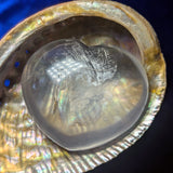 Metamorphosis Quartz Hearts~CRMQHT01