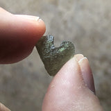 Moldavite Specimen~CRMOLDS1