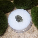 Moldavite Specimen~CRMOLDS3