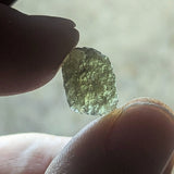 Moldavite Specimen~CRMOLDS3