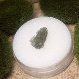 Moldavite Specimen~CRMOLDS5