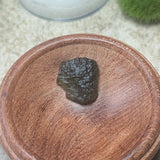 Moldavite Specimen~CRMOLDS6