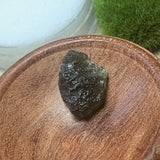 Moldavite Specimen~CRMOLDS8