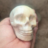 Serpentine in White Jade Skull~CRSWJSK2