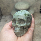 Serpentine Skull~CRSERPSK