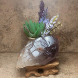 Amethyst Elestial Crystal~CRAMELES2