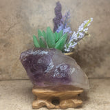 Amethyst Elestial Crystal~CRAMELES2