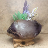 Amethyst Elestial Crystal~CRAMELES4
