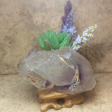 Amethyst Elestial Crystal~CRAMELES5