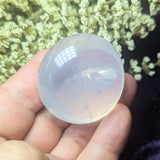 Metamorphosis Quartz Palm Stone~CRMQPS05