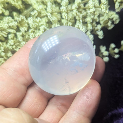 Metamorphosis Quartz Palm Stone~CRMQPS05