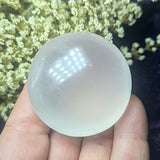 Metamorphosis Quartz Palm Stone~CRMQPS09