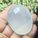 Metamorphosis Quartz Palm Stone~CRMQPS12