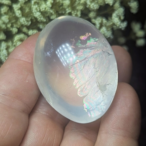 Metamorphosis Quartz Palm Stone~CRMQPS14