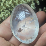 Metamorphosis Quartz Palm Stone~CRMQPS15