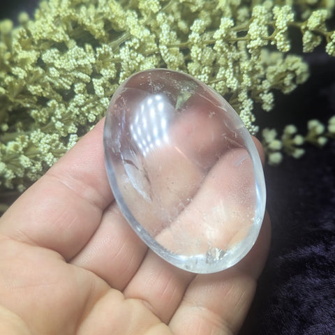 Metamorphosis Quartz Palm Stone~CRMQPS19