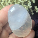 Metamorphosis Quartz Palm Stone~CRMQPS23