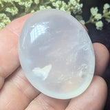 Metamorphosis Quartz Palm Stone~CRMQPS27